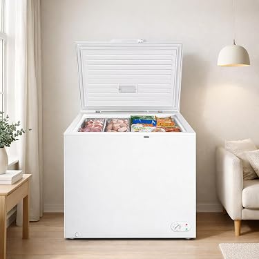 Amazon.co.jp 最新リリース: 冷凍庫 の新着ランキングです。